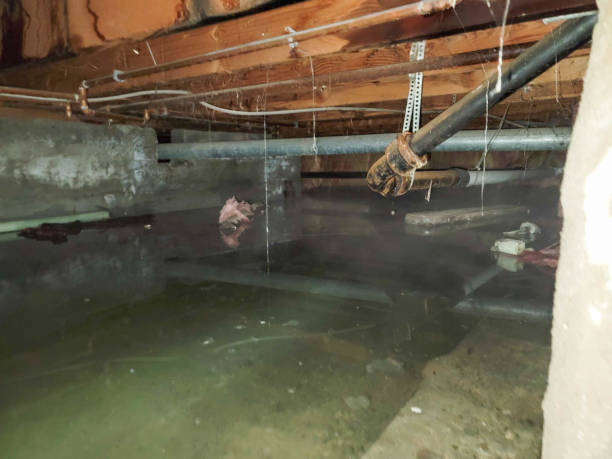 Best Water damage mitigation services  in Florence, AL