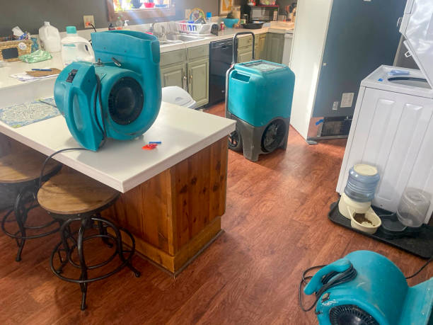 Best Fire Damage Restoration  in Florence, AL