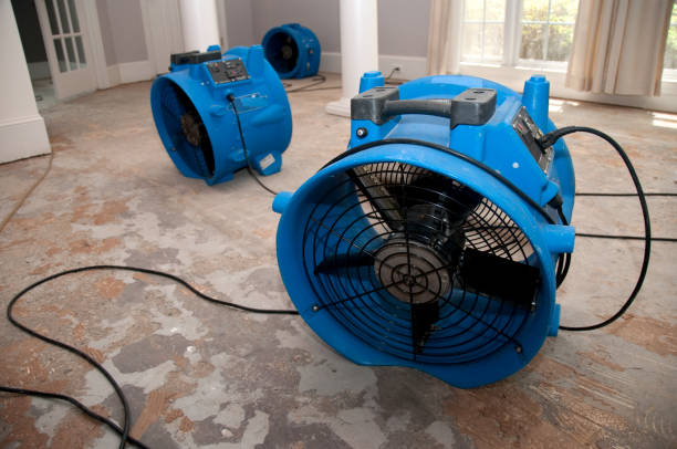 Best Water damage restoration process  in Florence, AL