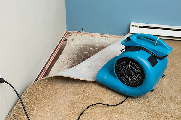 Best Local water damage restoration  in Florence, AL